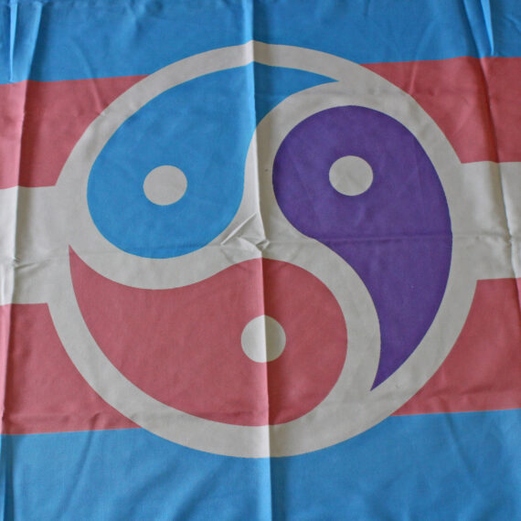 Transgender Yin Yang Flag