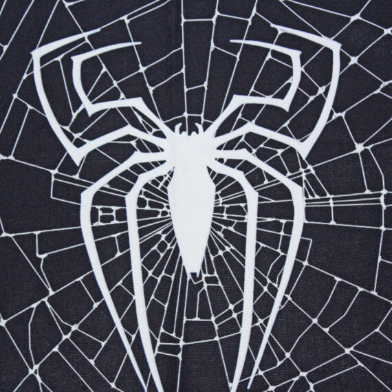 Spiderman Web Flag