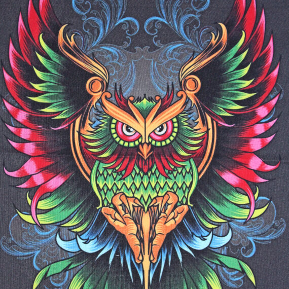 Owl Aesthetic Tapestry